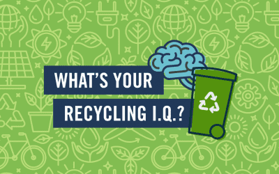 Are you a recycling champion?